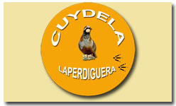 Cuydela